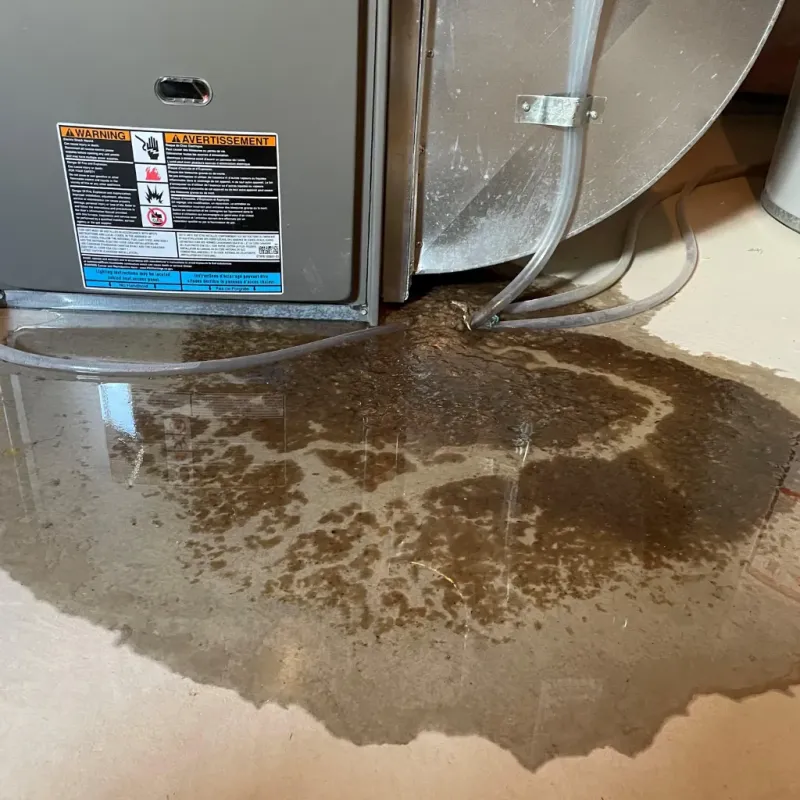 Appliance Leak Cleanup in Ladonia, AL